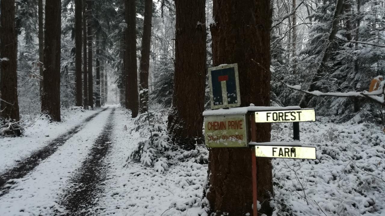 Forest Farm Bois-Jerome-Saint-Ouen Екстер'єр фото